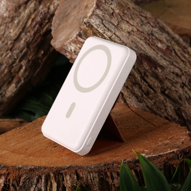 TerraTone Powerbank & Wireless Charger 3